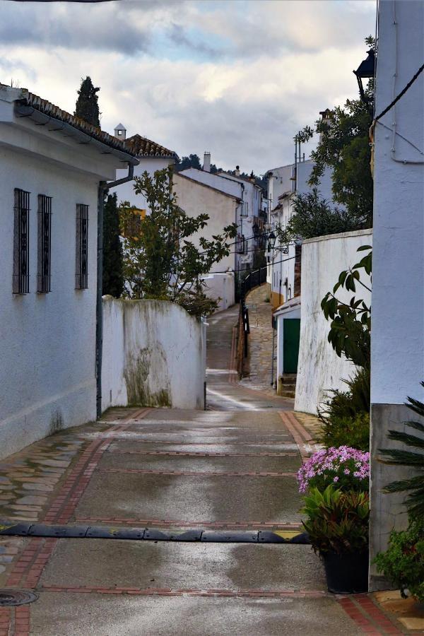 Hostal Moncada Гаусин Экстерьер фото