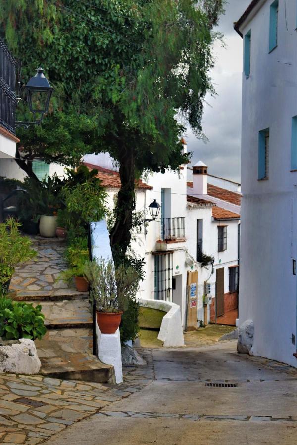Hostal Moncada Гаусин Экстерьер фото