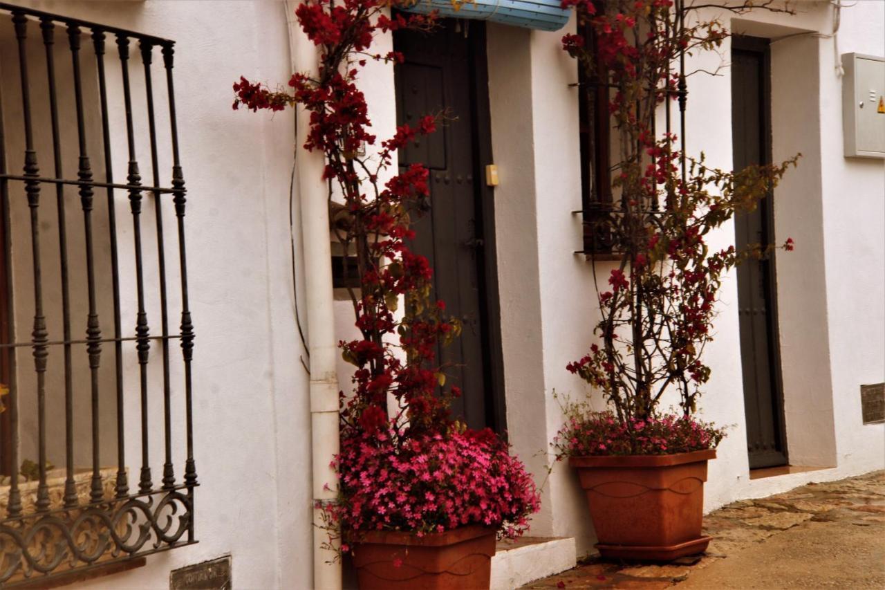Hostal Moncada Гаусин Экстерьер фото